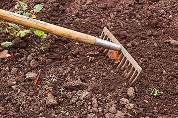 Garden rake tilling the soil.